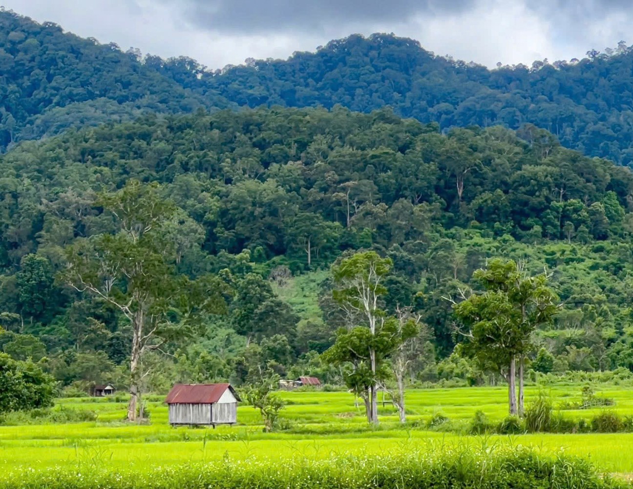 Ruộng bậc thang tại Kon Ka Kinh